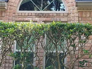 Window Replacement, The Woodlands, TX